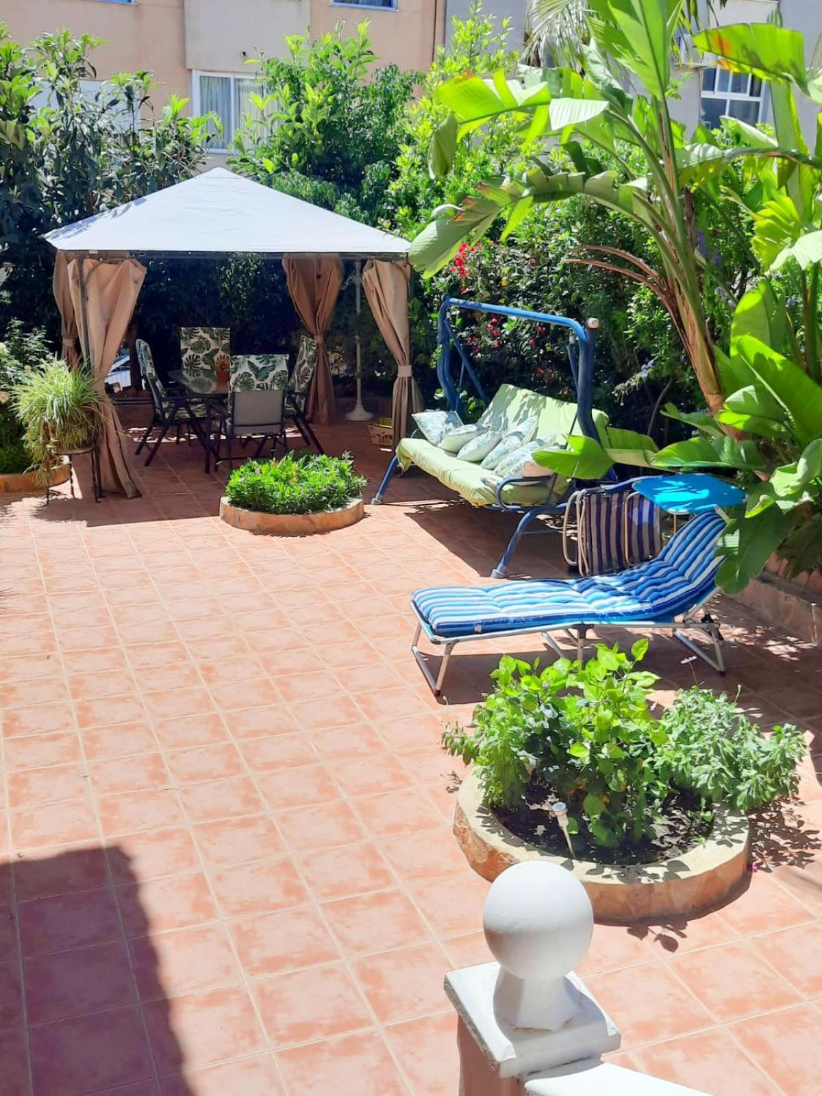 Homestay Luminoso L'Alfas del Pi